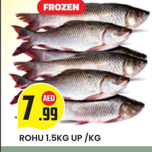 Fresh Fish in Baniyas Spike , UAE Offers - United Arab Emirates available at Baniyas Spike in UAE - Abu Dhabi