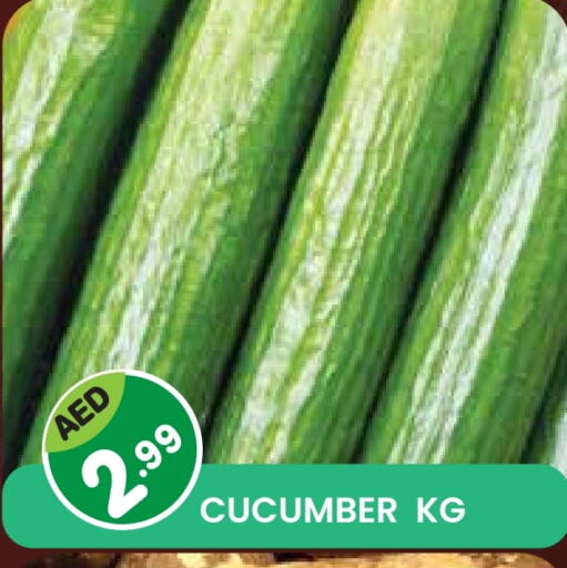 Fresh Vegetables in Baniyas Spike , UAE Offers - United Arab Emirates Cucumber available at Baniyas Spike in UAE - Sharjah / Ajman