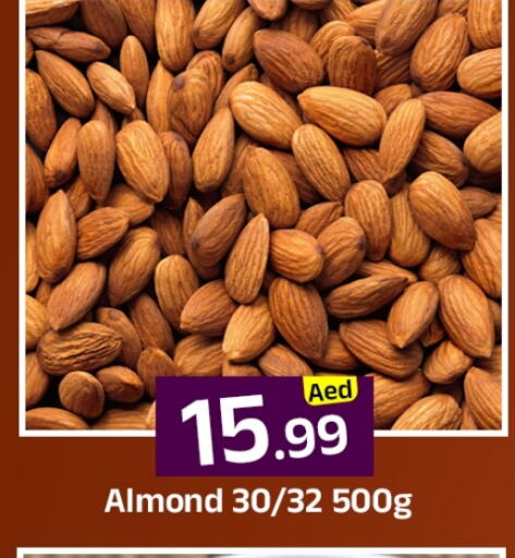 الفواكه المجففة و التمور in مبارك هايبرماركت الشارقة, UAE Offers - الإمارات العربية المتحدة available at مبارك هايبرماركت الشارقة in الإمارات العربية المتحدة , الامارات - الشارقة / عجمان