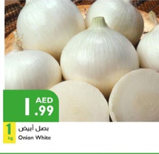 White Onion available at Istanbul Supermarket in UAE - Abu Dhabi