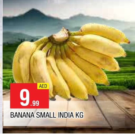 موز from India available at المدينة in الإمارات العربية المتحدة , الامارات - الشارقة / عجمان