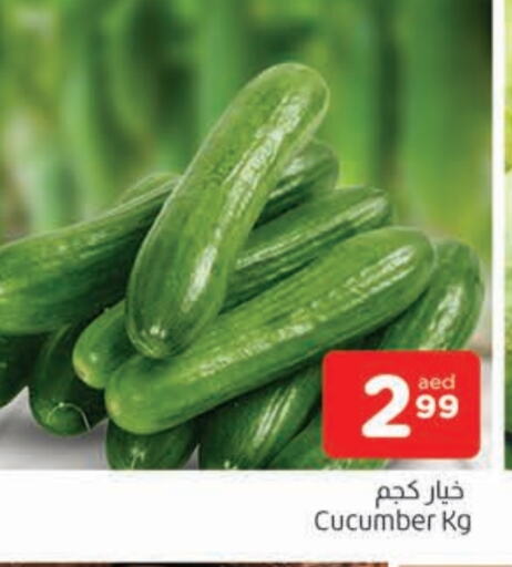 خيار available at المدينة in الإمارات العربية المتحدة , الامارات - الشارقة / عجمان