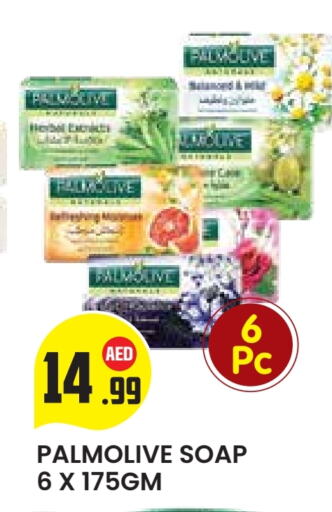 بالموليف available at سنابل بني ياس in الإمارات العربية المتحدة , الامارات - ٱلْعَيْن‎
