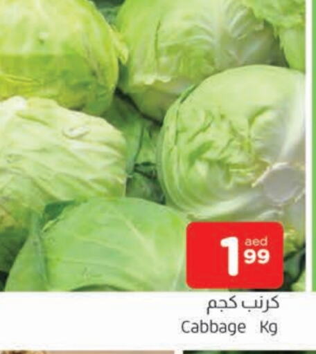 كرنب available at المدينة in الإمارات العربية المتحدة , الامارات - الشارقة / عجمان
