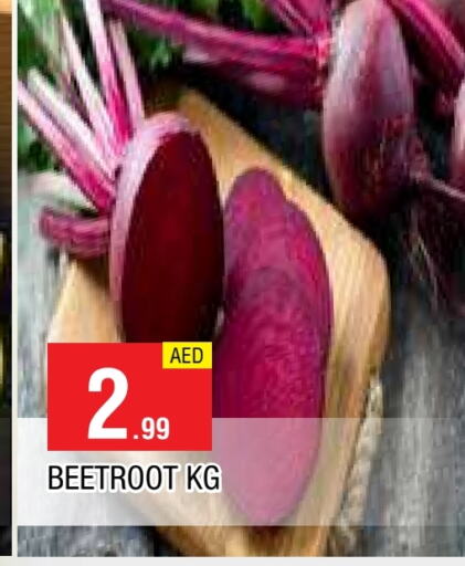 شمندر available at المدينة in الإمارات العربية المتحدة , الامارات - الشارقة / عجمان