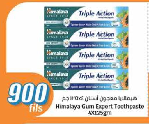 HIMALAYA Toothpaste available at City Hypermarket in Kuwait - Jahra Governorate