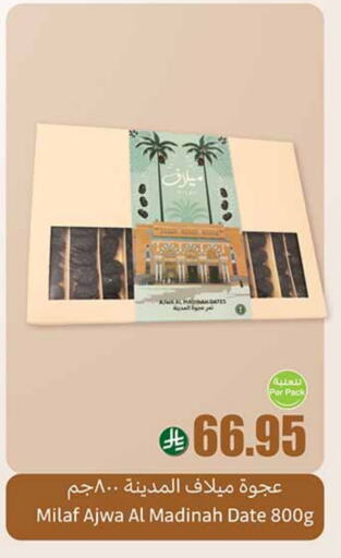 Date available at Othaim Markets in KSA, Saudi Arabia, Saudi - Yanbu