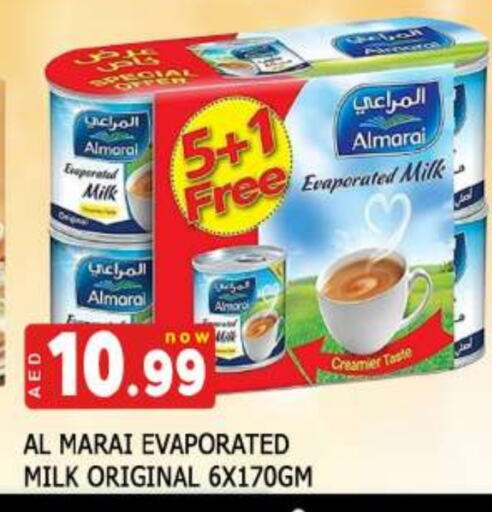 Powdered & Condensed Milk in AL MADINA, UAE Offers - United Arab Emirates ALMARAI Evaporated Milk available at AL MADINA in UAE - Sharjah / Ajman