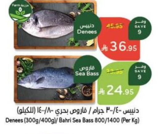 Fresh Fish in Hyper Panda, Saudi Arabia Offers - Saudi Arabia available at Hyper Panda in KSA, Saudi Arabia, Saudi - Najran