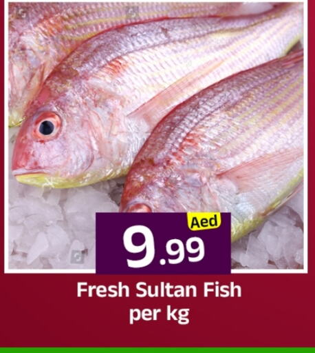 الأسماك الطازجة in مبارك هايبرماركت الشارقة, UAE Offers - الإمارات العربية المتحدة available at مبارك هايبرماركت الشارقة in الإمارات العربية المتحدة , الامارات - الشارقة / عجمان