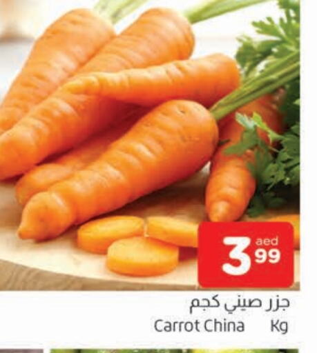 جزر from China available at المدينة in الإمارات العربية المتحدة , الامارات - الشارقة / عجمان