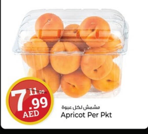 Apricot available at كنز هايبرماركت in الإمارات العربية المتحدة , الامارات - الشارقة / عجمان
