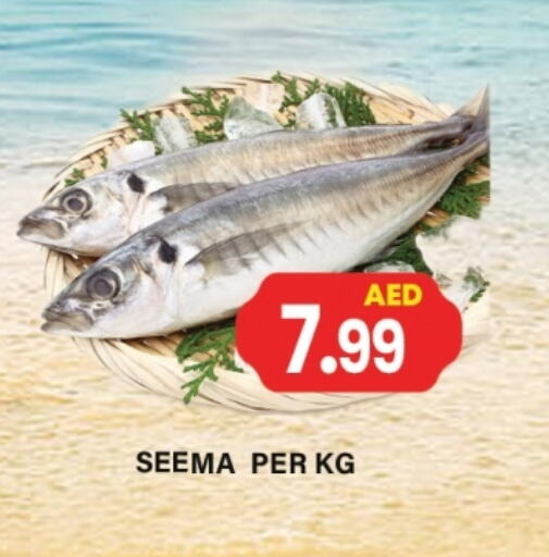 الأسماك الطازجة in جلف هايبرماركت ذ.م.م, UAE Offers - الإمارات العربية المتحدة available at جلف هايبرماركت ذ.م.م in الإمارات العربية المتحدة , الامارات - رَأْس ٱلْخَيْمَة
