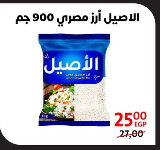 Calrose Rice available at Arab DownTown in Egypt - Cairo
