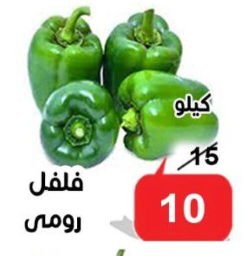 Fresh Vegetables in Aldoneia Bkheir ismailia , Egypt Offers - Egypt Chilli / Capsicum available at Aldoneia Bkheir ismailia in Egypt - Cairo
