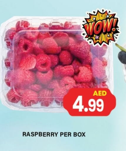 Fresh Fruits in Gulf Hypermarket LLC, UAE Offers - United Arab Emirates Raspberry available at Gulf Hypermarket LLC in UAE - Ras al Khaimah