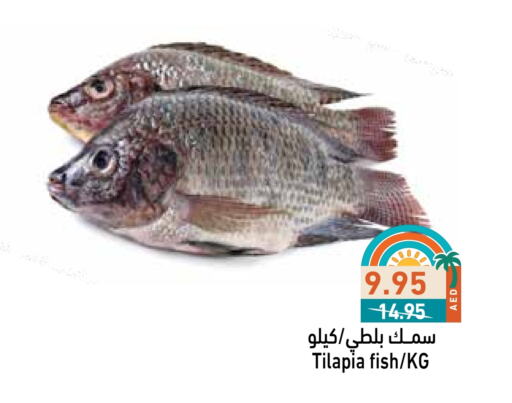 available at أسواق رامز in الإمارات العربية المتحدة , الامارات - رَأْس ٱلْخَيْمَة