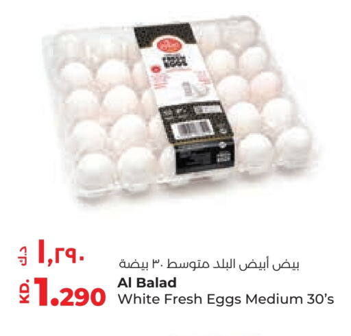 available at Lulu Hypermarket  in Kuwait - Kuwait City