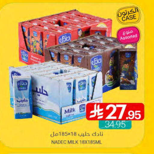 NADEC available at Muntazah Markets in KSA, Saudi Arabia, Saudi - Qatif