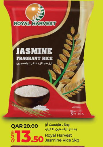 Jasmine Rice available at LuLu Hypermarket in Qatar - Al Shamal