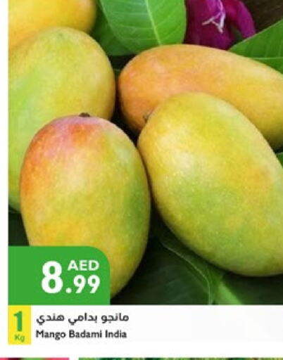 زيبا زيبا from India available at إسطنبول سوبرماركت in الإمارات العربية المتحدة , الامارات - دبي