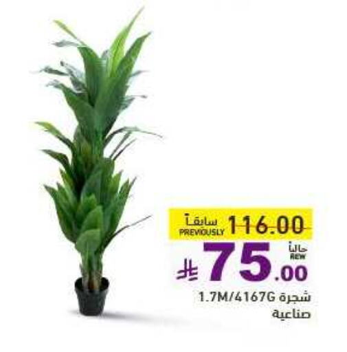تأثيث وديكورات المنزل in أسواق رامز, المملكة العربية السعودية Offers - المملكة العربية السعودية available at أسواق رامز in مملكة العربية السعودية, السعودية, سعودية - الرياض