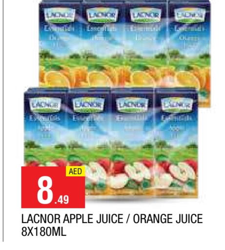 لكنور available at المدينة in الإمارات العربية المتحدة , الامارات - الشارقة / عجمان