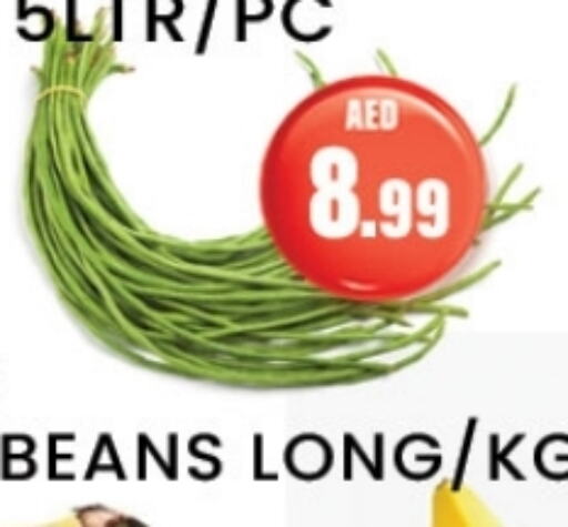 Beans available at Zain Mart Supermarket in UAE - Ras al Khaimah
