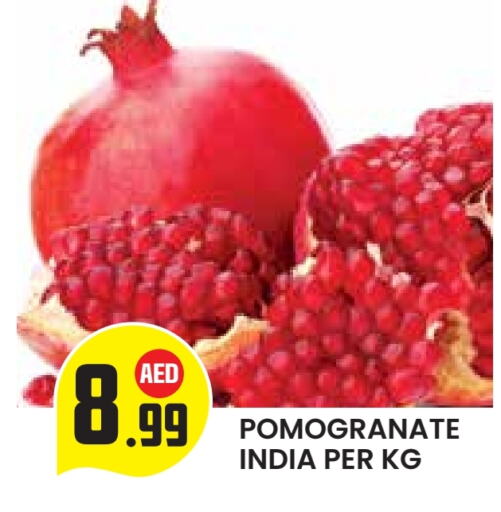 available at سنابل بني ياس in الإمارات العربية المتحدة , الامارات - ٱلْعَيْن‎