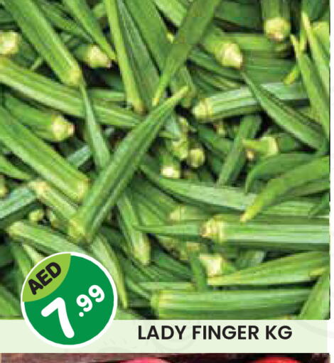 Lady's finger available at Baniyas Spike  in UAE - Abu Dhabi