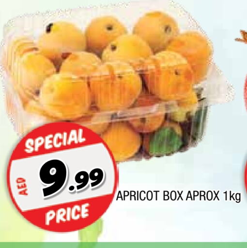 Dried Fruits & Dates in AL MADINA, UAE Offers - United Arab Emirates Apricot available at AL MADINA in UAE - Sharjah / Ajman