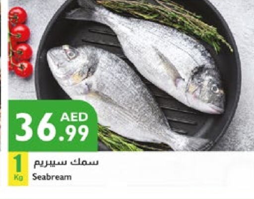 available at Istanbul Supermarket in UAE - Ras al Khaimah