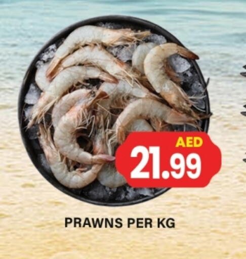 الأسماك الطازجة in جلف هايبرماركت ذ.م.م, UAE Offers - الإمارات العربية المتحدة available at جلف هايبرماركت ذ.م.م in الإمارات العربية المتحدة , الامارات - رَأْس ٱلْخَيْمَة