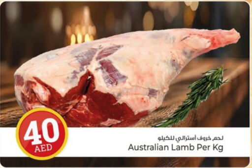 لحم الضأن / الغنم available at كنز هايبرماركت in الإمارات العربية المتحدة , الامارات - الشارقة / عجمان