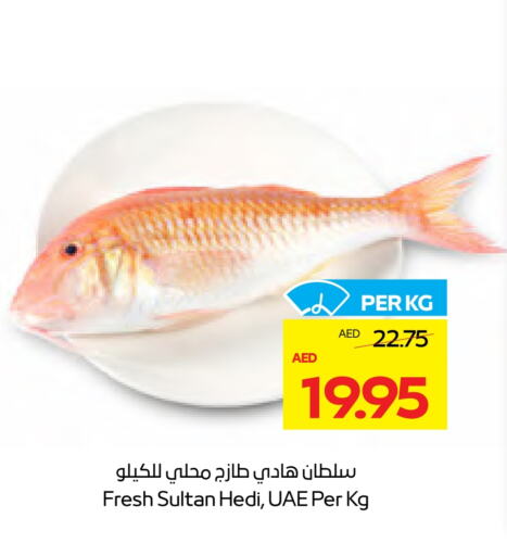 Fresh Fish in ADCOOP, UAE Offers - United Arab Emirates available at ADCOOP in UAE - Abu Dhabi