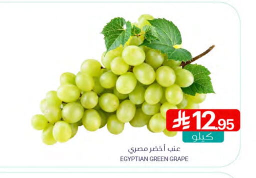 فاكهة طازجة in اسواق المنتزه, المملكة العربية السعودية Offers - المملكة العربية السعودية عنب from Egypt available at اسواق المنتزه in مملكة العربية السعودية, السعودية, سعودية - سيهات