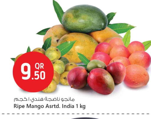 زيبا زيبا from India available at سفاري هايبر ماركت in قطر - أم صلال