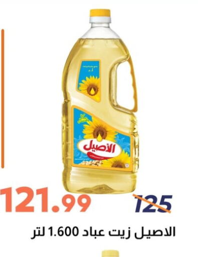 available at Ghallab Market in Egypt - Cairo