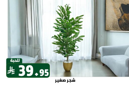 available at تخفيضات العائلة in مملكة العربية السعودية, السعودية, سعودية - الرياض