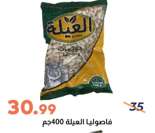 Pulses, Beans & Grains in Ghallab Market, Egypt Offers - Egypt available at Ghallab Market in Egypt - Cairo