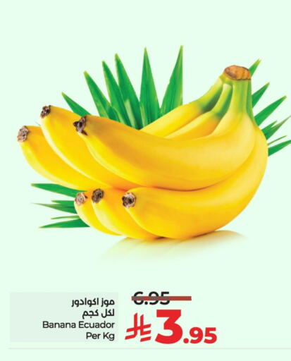 موز from Ecuador available at لولو هايبرماركت in مملكة العربية السعودية, السعودية, سعودية - الرياض