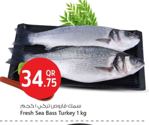 Fresh Fish in Safari Hypermarket, Qatar Offers - Qatar available at Safari Hypermarket in Qatar - Al Rayyan