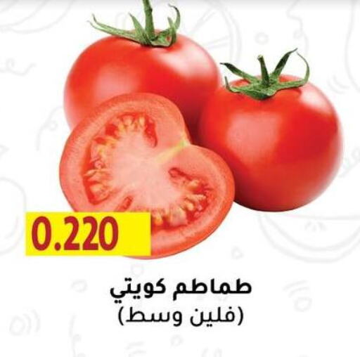Tomato available at Zahra Cooperative Society in Kuwait - Kuwait City