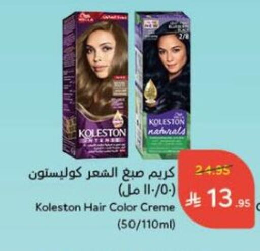 العناية بالشعر in هايبر بنده, المملكة العربية السعودية Offers - المملكة العربية السعودية صبغة شعر available at هايبر بنده in مملكة العربية السعودية, السعودية, سعودية - خميس مشيط