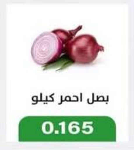 بصل available at جمعية جليب الشويخ التعاونية in الكويت - مدينة الكويت