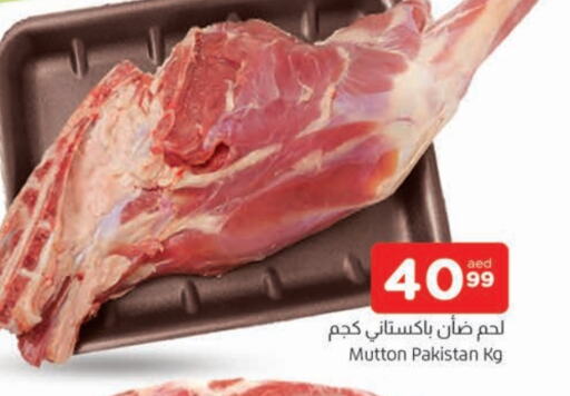 لحم الضأن / الغنم available at المدينة in الإمارات العربية المتحدة , الامارات - الشارقة / عجمان