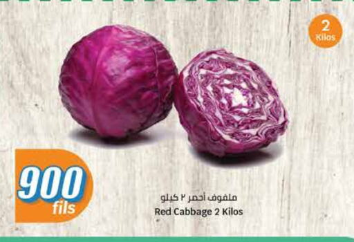 Cabbage available at City Hypermarket in Kuwait - Ahmadi Governorate