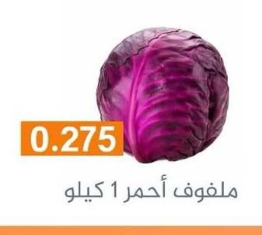 Cabbage available at Al Rumaithya Co-Op  in Kuwait - Kuwait City