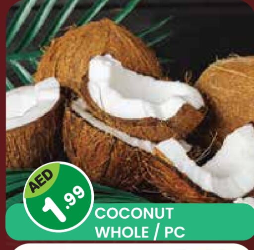 Coconut available at Baniyas Spike  in UAE - Umm al Quwain