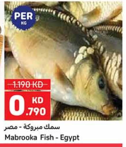 Fresh Fish in Carrefour, Kuwait Offers - Kuwait available at Carrefour in Kuwait - Ahmadi Governorate